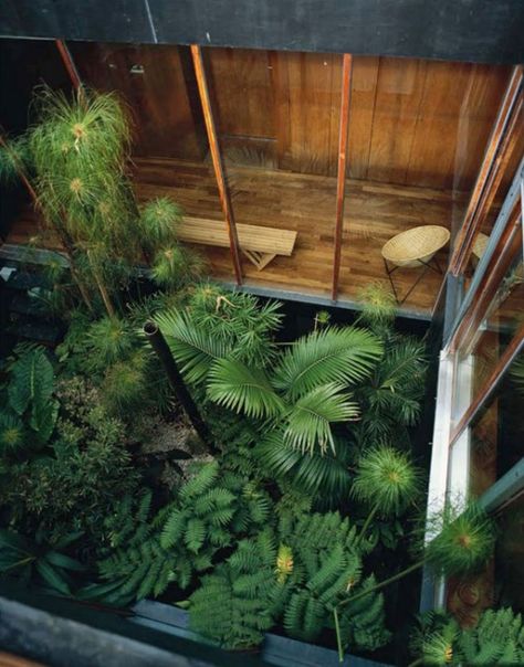 Inside Of A House, Tropical Patio, Taman Air, Indoor Gardens, Patio Interior, Interior Garden, Courtyard Garden, Tropical Garden, Patio Design