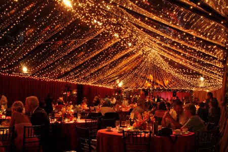 Black Christmas Decorations, Tent Lighting, Desi Wedding, Canopy Lights, Black Christmas, The Ceiling, Twinkle Lights, Wedding Lights, Here Comes The Bride