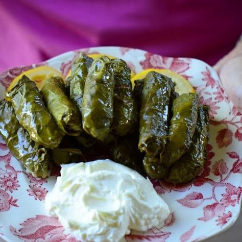 Grape Leaves Recipe, Apricot Chicken Recipes, Syrian Food, Stuffed Grape Leaves, Apricot Chicken, Avocado Hummus, Chicken Rolls, Grape Leaf, Rolls Recipe