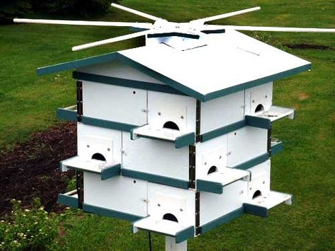 Martin House Plans, Purple Martin House Plans, Purple Martin Birdhouse, Purple Martin House, Purple Martin, Martin House, Backyard Birds, Birdhouse, Bird Houses