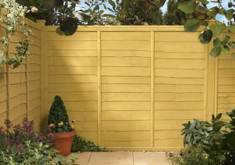 Garden Fence Colours, Cuprinol Ducksback, Yellow Fence, Fence Colours, Fence Paint Colours, Coloured Walls, Painted Shed, Garden Fences, Garden Fence Panels