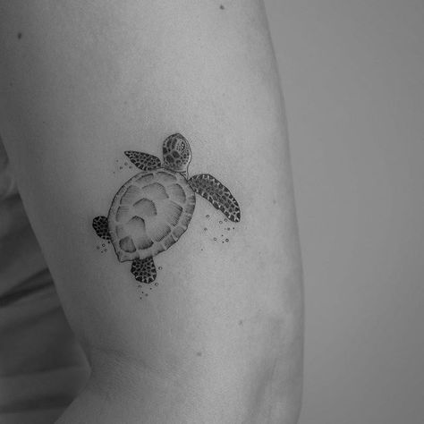 Baby Sea Turtle Tattoo, Baby Turtle Tattoo, Sea Turtle Tattoo Simple, Fine Line Turtle, Turtle Tattoo Simple, Fine Line Turtle Tattoo, Hawaiian Turtle Tattoos, Education Tattoos, Celebrities Quotes