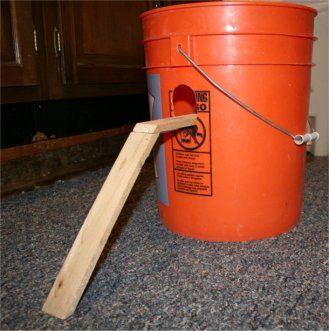 Bucket Mouse Trap, 5 Gallon Buckets, Getting Rid Of Mice, Rat Traps, Coop Ideas, Best Chicken Coop, Mouse Trap, Mouse Traps, Garden Pests