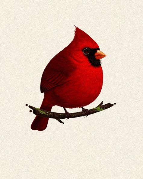 'Cardinal' by Mike Mitchell Red Bird Tattoo, Tattoo Animals, Red Bird Tattoos, Cardinal Tattoos, Mike Mitchell, Fat Bird, Tattoo Bird, Bird Tattoo, Back Ground