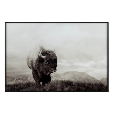 Bison Life - Crestview Collection Charcoal Color Scheme, Charcoal Landscape, Buffalo Wall Art, Dark Silhouette, How To Hang Wallpaper, Powerful Images, The Wild West, Into The Wild, Rustic Wall Art