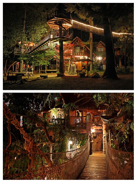 treehouse Outdoor Treehouse, Yard Before And After, Treehouse Inspiration, Treehouse Living, Storybook Land, Tree House Ideas, Treehouse Ideas, Bush Garden, Swiss Family Robinson