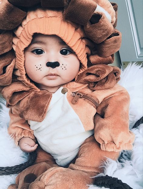 Baby Lion Costume Family, Cute Toddler Costumes, Baby Bear Costume, Lion Costume Diy, Stroller Costume, Lion Outfit, Baby Lion Costume, Lion Face Paint, Photography Crochet