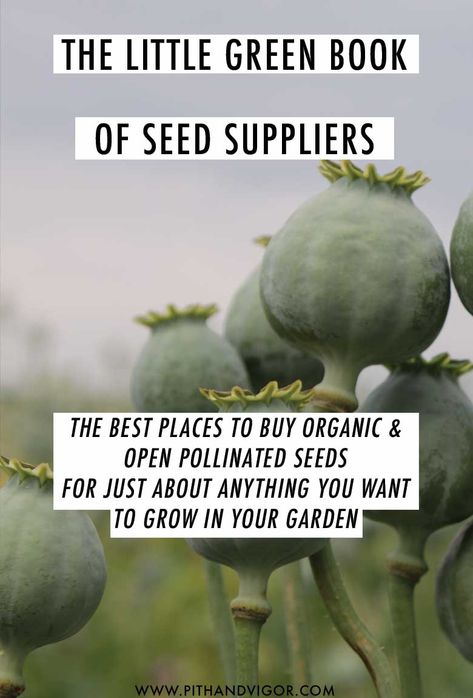 The best places to buy organic and open pollinated seeds for just about anything you want to grow in your garden Maine Gardens, Garden Knowledge, Urban Gardening Ideas, Yard Makeover, Garden Fairies, Grow Tomatoes, Plants Outdoor, Organic Vegetable Garden, Survival Gardening