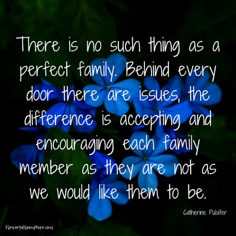 There is no such thing as a perfect family. Behind every door there are issues, the difference is accepting and encouraging each family member as they are not as we would like them to be. No Time For Family, Family Isnt What It Used To Be, Love Of Family Quotes, Not Perfect Quotes, Being There For Someone Quotes, Speak Quotes, Family Love Quotes, Perfect Quotes, Love Of Family