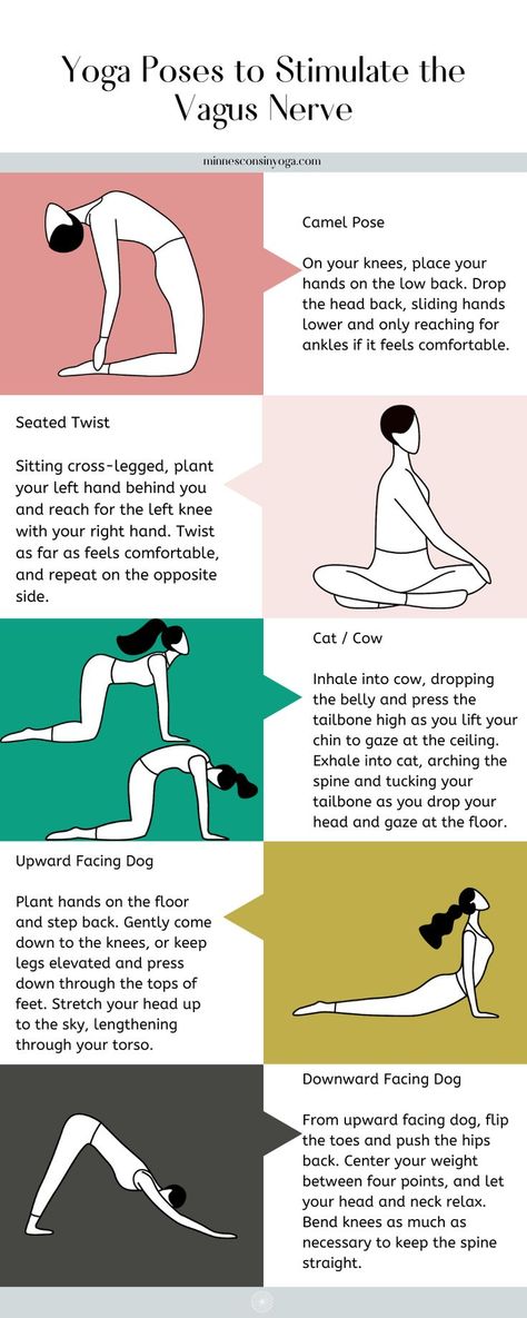 Yoga poses to stimulate the vagus nerve Vagus Nerve Yoga, Nervus Vagus, The Vagus Nerve, Nerve Health, Healing Yoga, Poses For Beginners, Vagus Nerve, Easy Yoga Workouts, Restorative Yoga