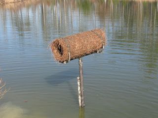 Nesting Box Plans, Duck House Diy, Duck Nesting, Wood Duck House, Duck House Plans, Duck Pen, Duck Houses, Hunting Crafts, Duck Stuff