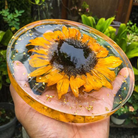 Sunflower Coaster, Sunflower Coasters, Coasters Resin, Diy Resin Art, Diy Resin, Resin Diy, Moscow Mule Mugs, Resin Art, Sunflower