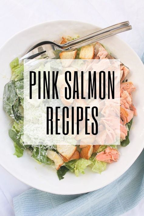 Love seafood, but wish it was more affordable? These pink salmon recipes use the most budget-friendly type of Wild Pacific salmon! Pink Salmon Fillets Recipes, Recipes Using Canned Pink Salmon, Chicken Of The Sea Pink Salmon Recipes, Baked Pink Salmon Recipes, Smoked Pink Salmon Recipes, Fresh Pink Salmon Recipes, Pink Salmon Packet Recipes, Chicken Of The Sea Salmon Packet Recipes, Packaged Salmon Recipes