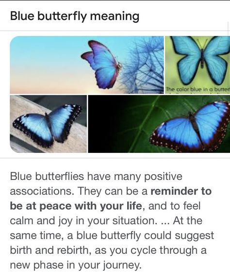 Meaning Of Butterfly Tattoo, Butterfly Omen Meaning, Blue Butterfly Tattoo Meaning, Blue Butterfly Meaning, Blue Butterfly Symbolism Meaning, Brown Butterfly Meaning Spiritual, Blue Butterfly Symbolism, Blue Butterfly Spiritual Meaning, Meaning Of Blue