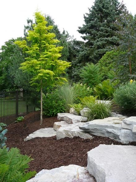 Easy Ideas for Landscaping with Rocks Garden With Rocks, Large Yard Landscaping, Conifers Garden, Ideas Jardin, Grasses Landscaping, Easy Landscaping, Rock Garden Landscaping, Backyard Landscape, Have Inspiration