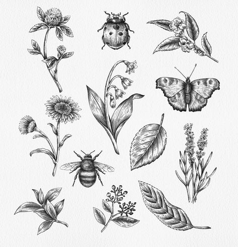 Ella Ginn on Behance Ditsy Tattoo Ideas, Forest Aesthetic Tattoo, Illustrative Tattoo Sleeve, Illustrative Bird Tattoo, Botanical Insect Tattoo, Insect And Flower Tattoo, Flower With Bugs Tattoo, Garden Bugs Tattoo, Botanical Illustration Tattoo