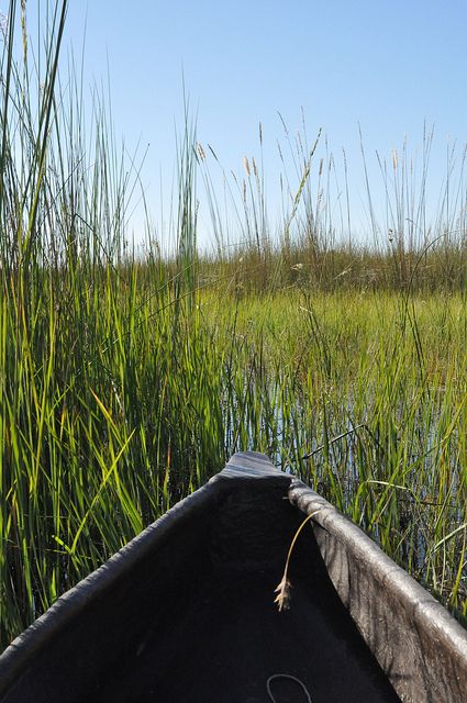 Okavango Delta, Botswana. Okavango Delta Botswana, Botswana Safari, Kalahari Desert, Chobe National Park, Okavango Delta, Landlocked Country, Africa Destinations, Travel Africa, Out Of Africa