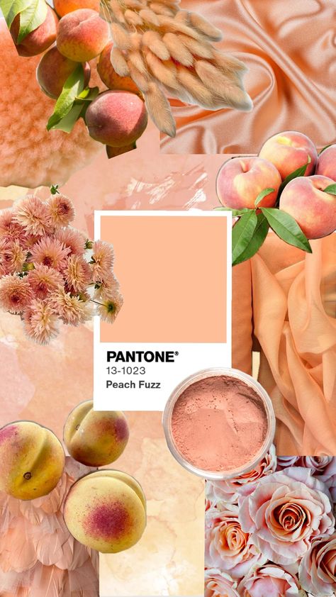 Pantone Peach Fuzz moodboard #pantone #peachmoodboard #peachpalette Peach Color Palettes, Peach Makeup, Peach Palette, Pastel Color Schemes, Hex Color Palette, Peach Aesthetic, Paint Color Inspiration, Paint Color Schemes, Peach Love