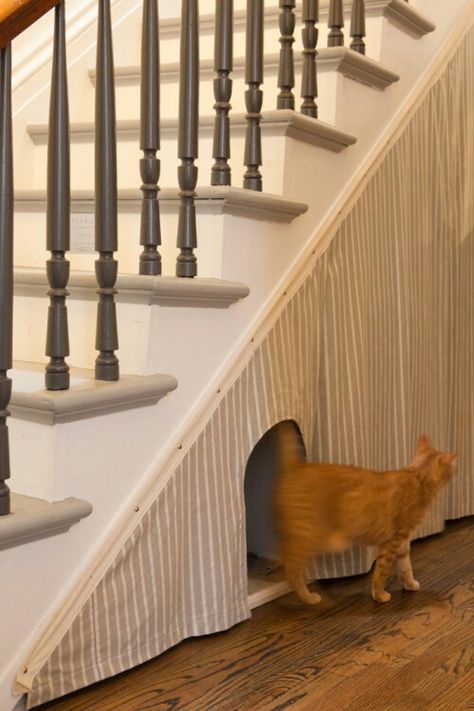 Unused stair space for kitty hideout Space Under Stairs, Parlor Floor, Brooklyn Design, House Items, Hidden Garden, Basement Stairs, Cat Door, Understairs Storage, Stair Storage