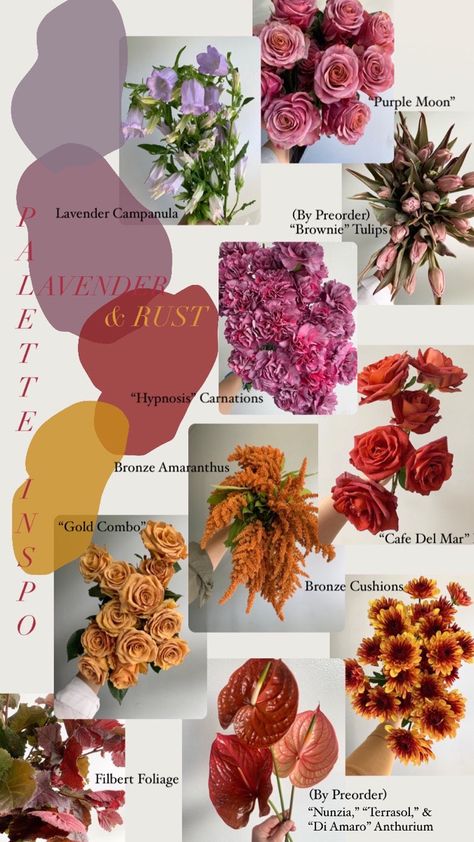 Two favorite colors for fall, combined in chic new tones. Think terra cotta, mustard, rust, mauve, and lavender. Includes anthurium, roses, mums, and more. Rust Mauve Wedding, Lavender And Terra Cotta Wedding, Colorful Flower Arrangements Diy, Soft Jewel Tone Wedding, Wedding Party Sunset Colors, Fall Color Roses, Fun Fall Wedding Colors, Mustard And Mauve Wedding, Mauve And Rust Wedding