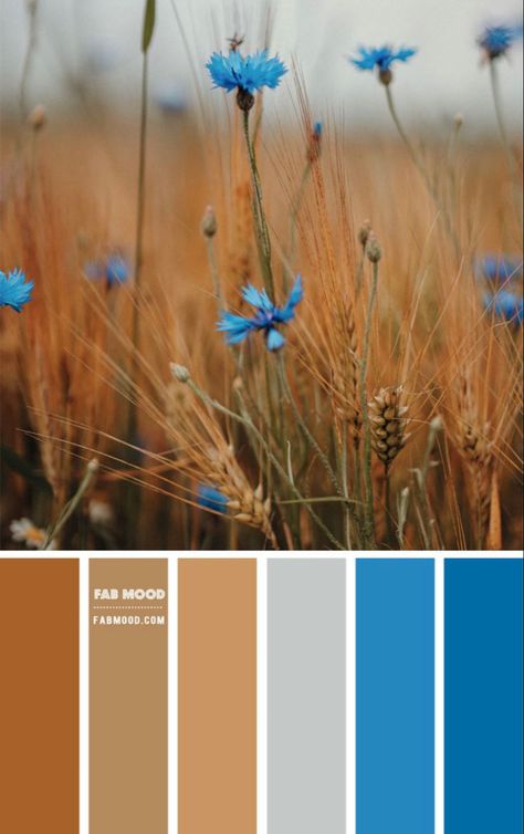 Cornflower blue to burnt orange in a muted palette with wheat. Wedding Colour Palettes, Fab Mood, Mood Wedding, Corn Flower, Wedding Colours, Wedding Colour, Color Schemes Colour Palettes, Earth Tone Colors, Nature Color Palette