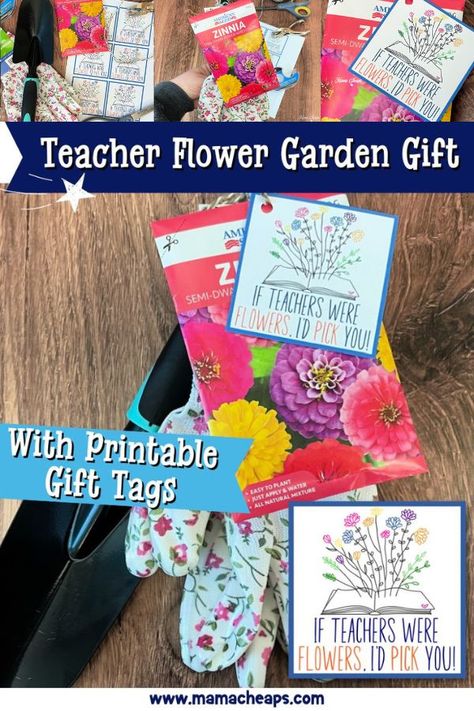 Add a splash of spring or summer to an sweet teacher gift! These flower seeds teacher gift sets are a great way to show some teacher appreciation at the end of the year. See how we put our gifts together and use our printable gift tags. You can find items for these gifts at the dollar store. #teacher #teacherappreciation #diy #printable #mamacheaps Teacher Appreciation Week Gifts Diy, Flower Teacher Appreciation Gifts, Teacher Appreciation Gifts Flowers, Flowers For Teacher Appreciation Week, Scent Sational Teacher Printable Free, Teacher Appreciation Flower Tags, If Teachers Were Flowers Id Pick You, Teacher Gift Printables, Survival Kit Gifts