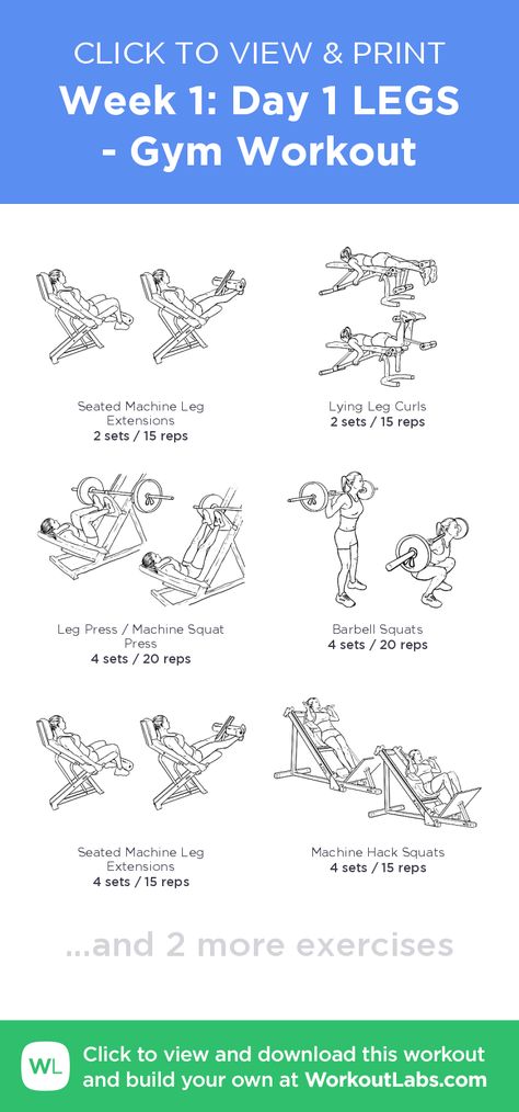 Plan Workout Routines, Planet Fitness Workout Plan, Fitness Training Plan, Leg Workouts Gym, Workout Labs, Plan Workout, Gym For Beginners, Health Application, Gym Plan