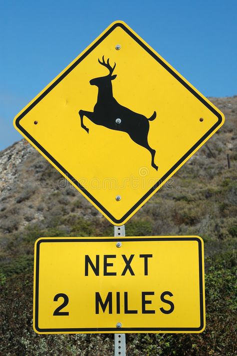 Deer Crossing. Next 2 Miles signs , #AD, #Crossing, #Deer, #signs, #Miles #ad Hand Lettering Diy, Deer Crossing, Hazard Sign, Media Makeup, Crossing Sign, Wedding Signs Diy, Photoshop Projects, Diy Wood Signs, Traffic Signs