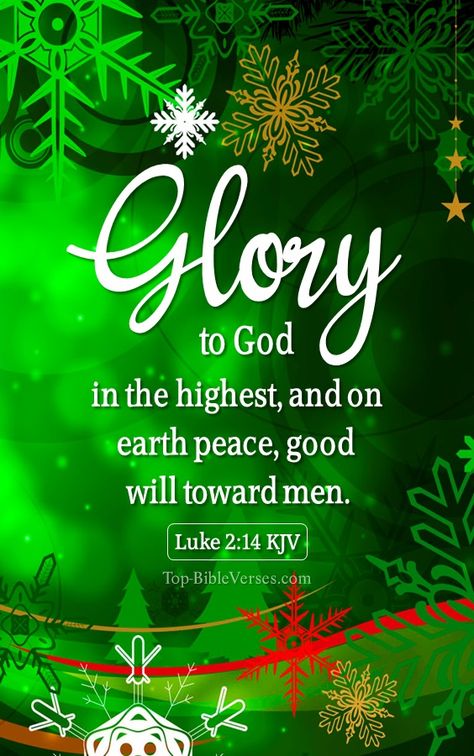 Bible Verse Images, December Scriptures, Christmas Bible Verse, Trust Gods Timing, City Of David, Luke 2 10, Trust Gods Plan, Peace Christmas, Christmas Verses