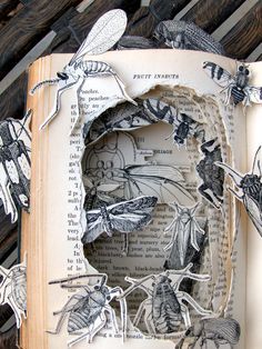 Book sculpture Arte Peculiar, Altered Book Art, Book Sculpture, Paper Book, Bugs And Insects, Handmade Books, Book Projects, Open Book, Paper Sculpture