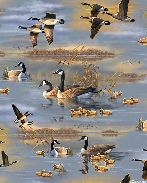 Flying Geese - Canadian Geese Vignettes  - Quilt Fabrics from www.eQuilter.com Goose Drawing, Dog Pond, Waterfowl Art, Canadian Geese, Goose Hunting, Canada Geese, Hunting Art, Canadian Goose, Quilt Fabrics