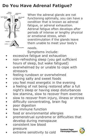 Adrenal Exhaustion, Adrenal Fatigue Symptoms, Chronic Fatigue Symptoms, Addisons Disease, Adrenal Health, Adrenal Glands, Adrenal Fatigue, Thyroid Health, Chronic Fatigue