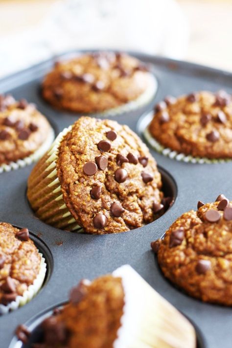 Clean Eating Pumpkin Muffins, Gluten Free Pumpkin Muffins, Blender Muffins, Fall Goodies, Pumpkin Muffin Recipes, Banana Chocolate Chip Muffins, Banana Chocolate, Gluten Free Pumpkin, Healthy Pumpkin