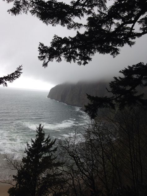 Foggy forest side and a beach Beach With Forest, Forest Ocean Aesthetic, Ocean Forest Aesthetic, Foggy Rocky Beach, Foggy Coast Aesthetic, Forest And Beach Aesthetic, Forest And Sea Aesthetic, Misty Beach Aesthetic, Beach Forest Aesthetic