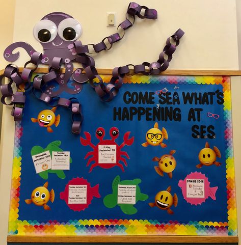 Pta Decoration Ideas, What’s Happening Bulletin Board, Parent Night Bulletin Board, Pta Bulletin Board Ideas Welcome Back, Join Pta Bulletin Board Ideas, Whats Happening Bulletin Board Ideas, Elementary School Display Case Ideas, Informational Bulletin Board, Events Bulletin Board