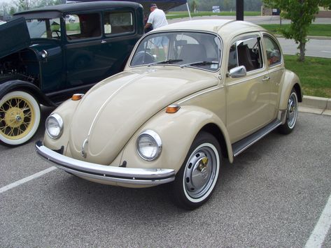 1969 VW Beetle | 1969 VW Beetle, seen at the 3rd Annual Moto… | Flickr 1969 Vw Beetle, Crawfordsville Indiana, Bugs Life, Vw Classic, A Bug's Life, Import Cars, Vw Bug, Vw Beetle, Vw Beetles