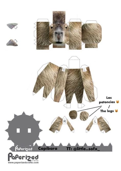 Capybara Papercraft Template, Capybara Template, Capybara Papercraft, Hello Kitty Crafts Paper, Template Hello Kitty, Kitty Crafts, Origami Templates, Peppa Pig Wallpaper, Paper Cube