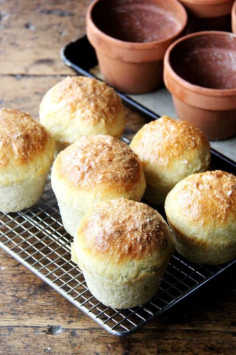 About a month ago, a friend texted me a photo of an adorable loaf of bread baked in a flowerpot. She was at Terrain’s garden café in Westport, CT, which looks as magical as the pages of its catalog. I immediately picked up half a dozen small flowerpots from a local garden shop and gave the... Flowerpot Bread, Flower Pot Bread, Pot Bread, Peasant Bread, No Rise Bread, Bread Toast, Bread Mix, Flat Bread, Monkey Bread