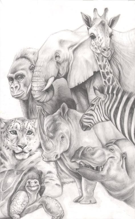 Coloring for adults - Kleuren voor volwassenen Big Sketches, Grey Scale, Coloring For Adults, Drawing Animals, Disegni Artistici, Grayscale Coloring, Animals Artwork, Animal Sketches, Arte Animal