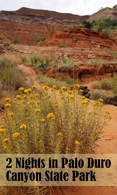 Friend Trips, Great Canyon, Texas Camping, Palo Duro Canyon State Park, New Mexico Road Trip, Texas Travel Guide, Texas State Parks, State Park Camping, Travel Texas