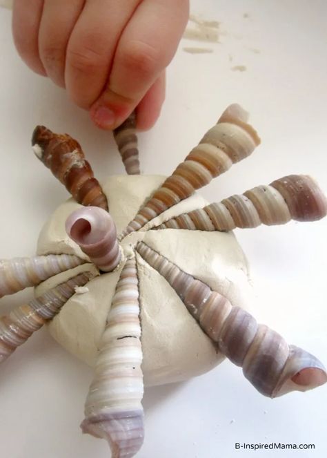 Nautical Decor Diy, Seashell Ideas, Seashell Art Diy, Seashell Christmas Ornaments, Sea Shells Diy, Seashell Projects, Shells Diy, Seashell Ornaments, Shell Crafts Diy