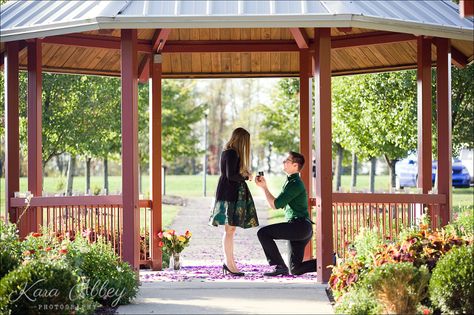 Gazebo Proposal, Park Proposal, Wedding Gazebo, Sunset Dinner, Gazebo Wedding, Community Park, Marriage Proposal, Proposal Engagement, Park Wedding