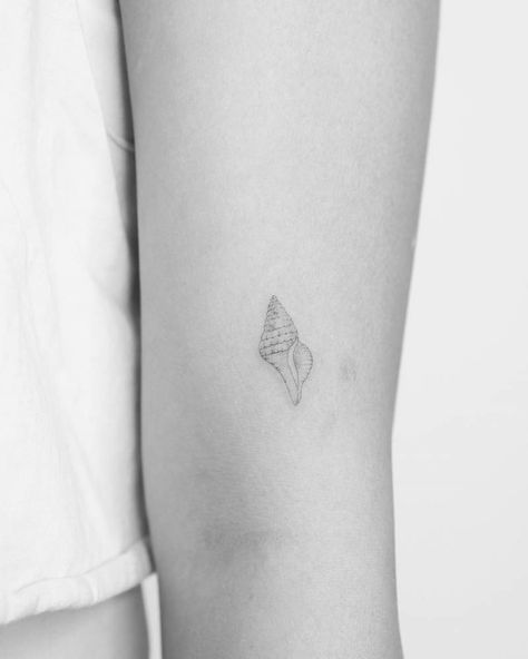 Single needle tulip shell tattoo located on the upper Sea Shell Tattoos For Women, Sea Shell Tattoo Small, Small Shell Tattoo, Tattoo Shell, Sea Shell Tattoo, Sea Tattoos, Small Turtle Tattoo, Shark Tooth Tattoo, Seashell Tattoo