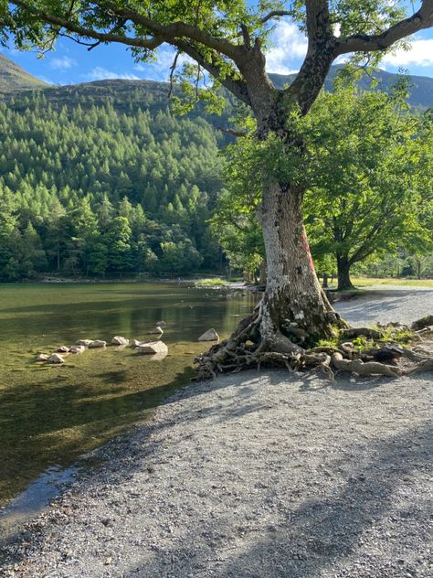 Lake District Aesthetic, In The Beginning God, Genius Loci, Uk Photography, English Countryside, Lake District, Pretty Places, Places Around The World, Summer Holiday