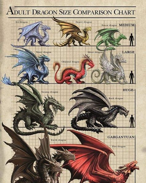 Dragon Size Chart, Anne Stokes Dragon, Types Of Dragons, Anne Stokes, Dragon Pictures, Fantasy Creatures Art, Dragon Artwork, Mythical Creatures Art, Dragon Drawing