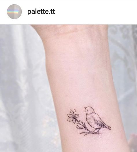 Robin Flower Tattoo, Robin Tattoo Simple, Robin And Flower Tattoo, American Goldfinch Tattoo, Fine Line Robin Tattoo, Chickadee Tattoo Simple, Tiny Robin Tattoo, Fat Bird Tattoo, Delicate Bird Tattoo