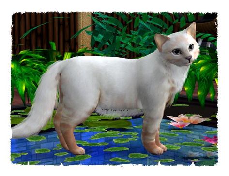 Sims 4 Cc Cats, Sims 4 Animal Cc, Beautiful Grey Eyes, Sims 2 Pets, Pet Wolf, Sims Pets, Ts2 Cc, Grey Eyes, Sims Games