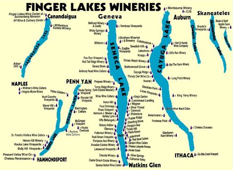 Seneca Lake Wine Tours Finger Lakes Wineries, Geneva Ny, Finger Lakes Ny, Cayuga Lake, Keuka Lake, Seneca Lake, Ny Trip, The Finger Lakes, Lake Trip