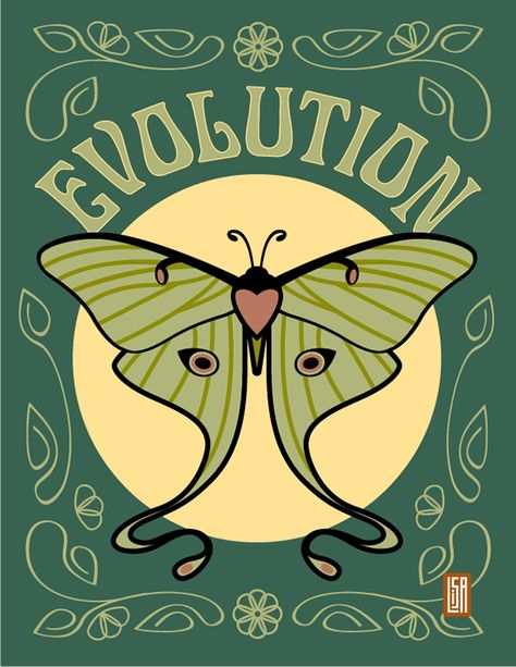 Green Butterfly Sticker, Moth Art, Luna Moth, Green Butterfly, Moth, Evolution, Art Nouveau, Ash, Google Search