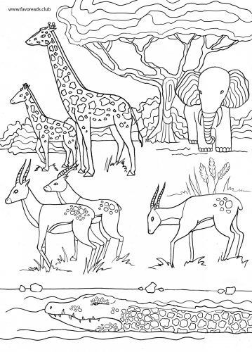 Jungle Coloring Pages, Flamingo Coloring Page, Animal Pictures For Kids, Chibi Coloring Pages, Vector Line Art, Africa Animals, Vector Line, Illustration Photo, Printable Adult Coloring Pages